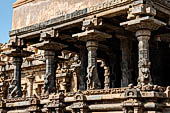 The great Chola temples of Tamil Nadu - The Airavatesvara temple of Darasuram. The peripheral columns of the  mandapa with seated yalis at the base.